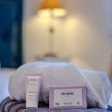 Raphael 4 Etoiles Neuf En Rez De Jardin Privatif *