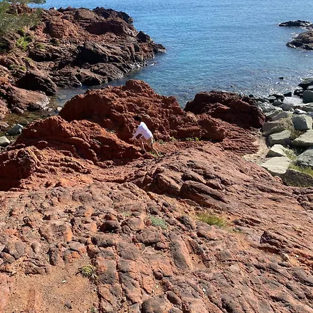 Raphael 4 Etoiles Neuf En Rez De Jardin Privatif アパート Saint-Raphaël